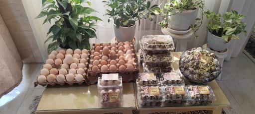 عکس فروشگاه شوینده بهداشتی مهدیار