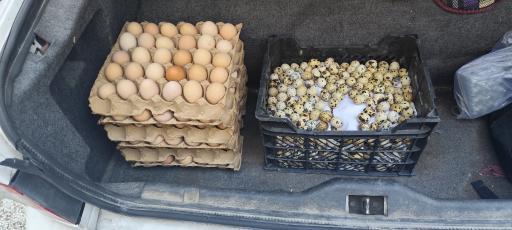 عکس فروشگاه شوینده بهداشتی مهدیار