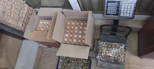 عکس فروشگاه شوینده بهداشتی مهدیار