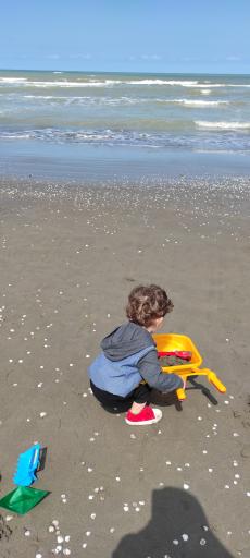 عکس مجتمع تفریحی صها شهر