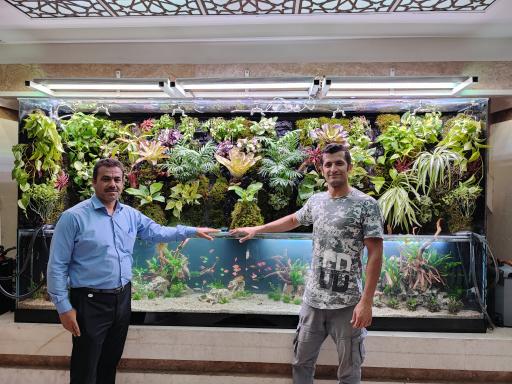 عکس آکواریوم طبیعت 