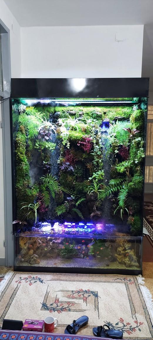 عکس آکواریوم طبیعت 