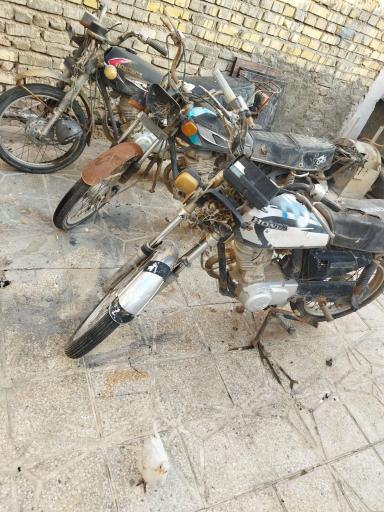 عکس دکتر مزایده