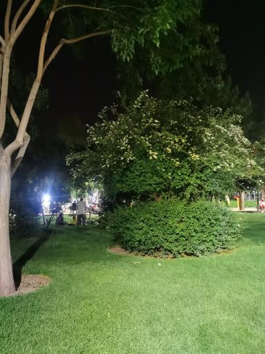 عکس پارک مرداویج