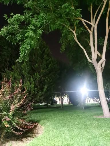 عکس پارک مرداویج