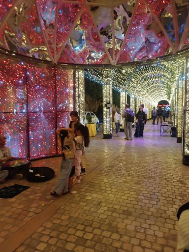 تونل نوری شبانه ارگ کریم خان