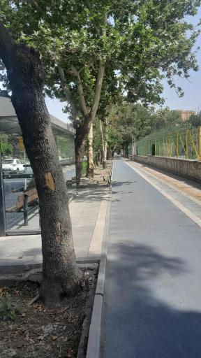 عکس  میدان فردوسی