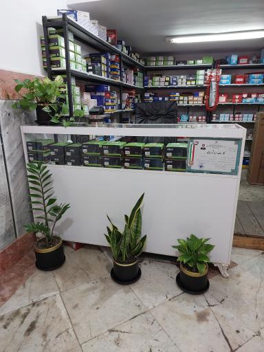 عکس آقای لنت