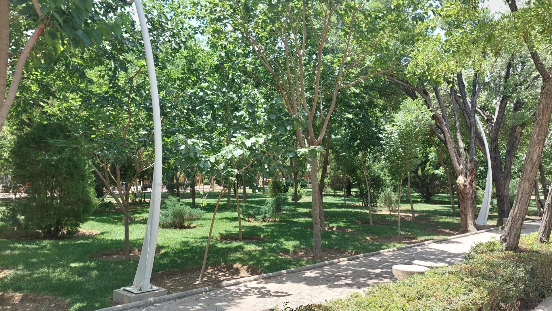 عکس پارک مرداویج