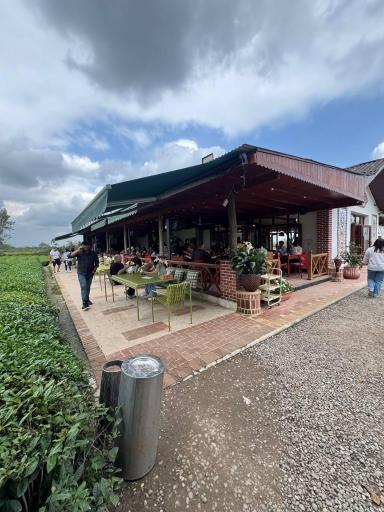 عکس چایخانه تی باغ