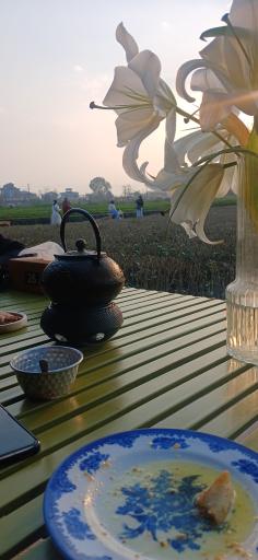 عکس چایخانه تی باغ