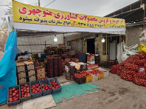 انار فروشی حسین منوچهری