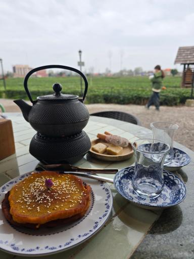 عکس چایخانه تی باغ