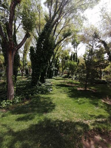 عکس پارک مرداویج