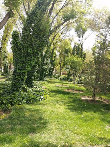 عکس پارک مرداویج