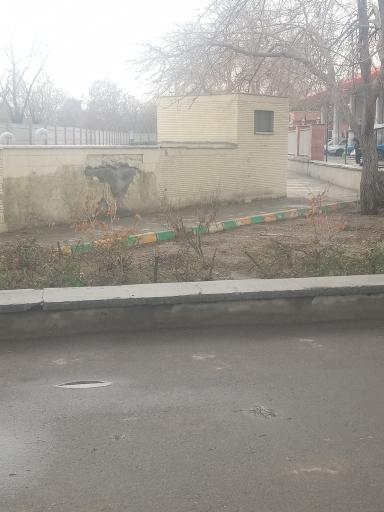 عکس سرویس بهداشتی