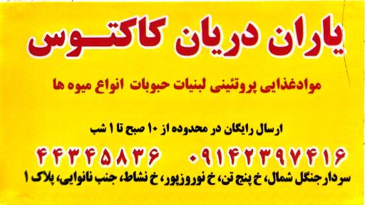 یاران دریان کاکتوس 
