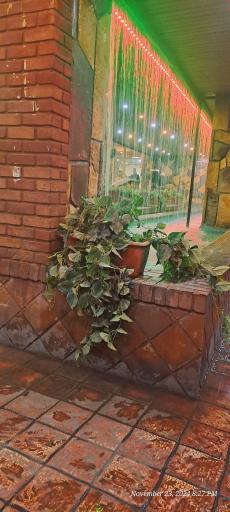 عکس باغ رستوران دایی اکبر