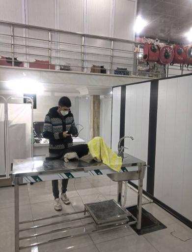 عکس کلینیک دامپزشکی دامون