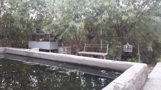 عکس ماهی زنده لطیفی