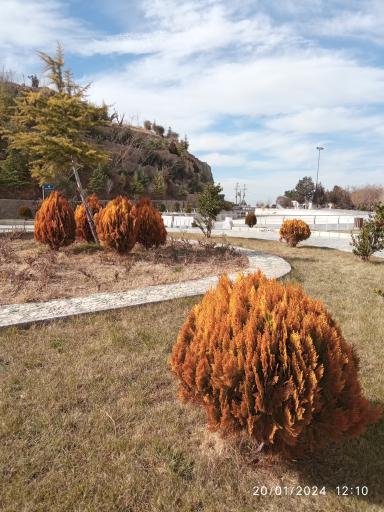 عکس میدان نیوانتا