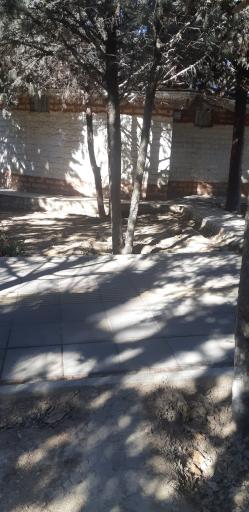 عکس سرویس بهداشتی