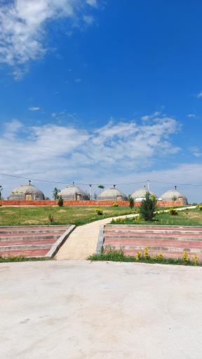عکس گردشگری زیتون 