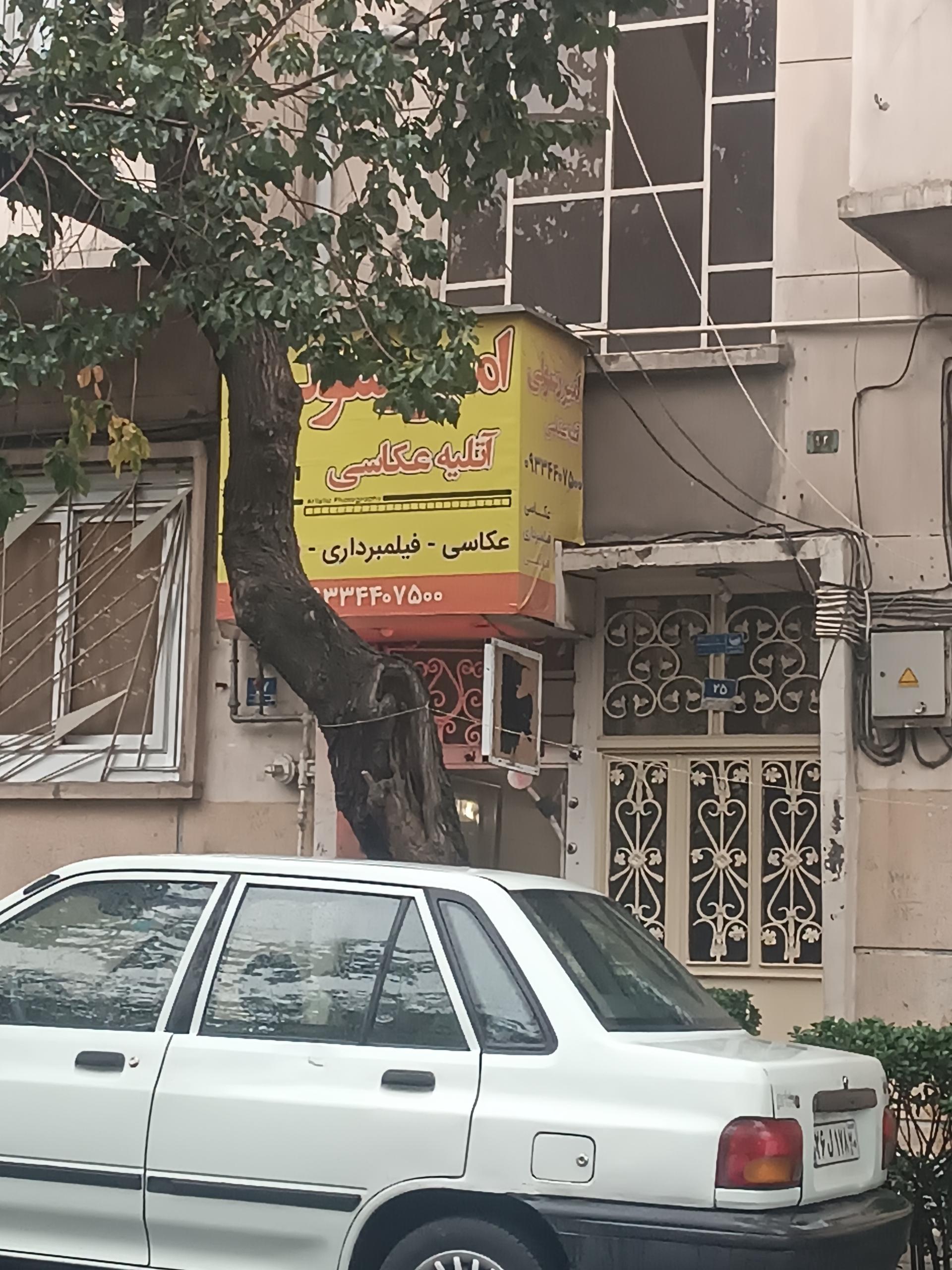 عکس عکاسی امیر رسولی