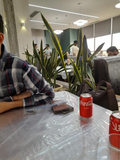 عکس اکبرجوجه امیرخانلو و پسران