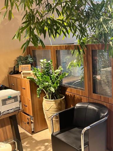 عکس دارالترجمه رسمی سودالیت