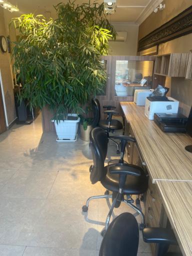 عکس دارالترجمه رسمی سودالیت