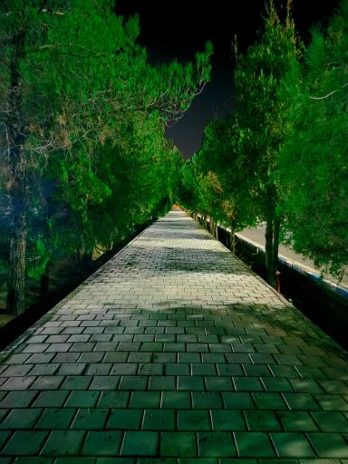 عکس دانشگاه ولیعصر رفسنجان