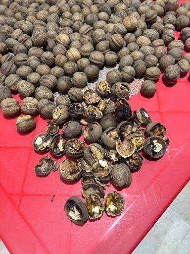 عکس گردو خشکبار محمودی