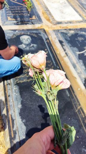 عکس آرامگاه نصرالله جباریان فرد خمسه