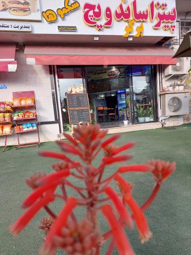 عکس فست‌فود شکموها 