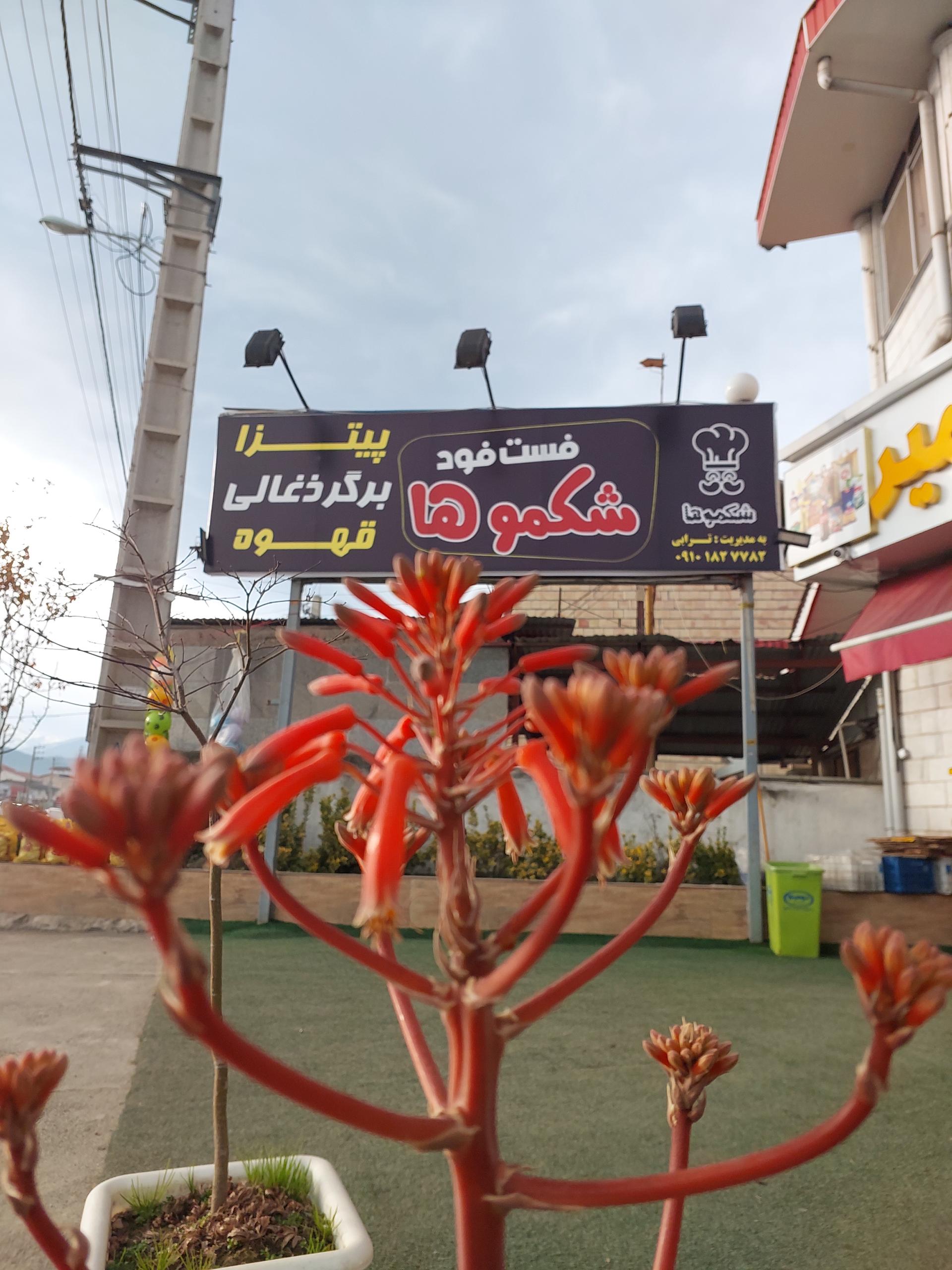 عکس فست‌فود شکموها 