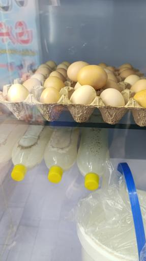 لبنیات خنجری