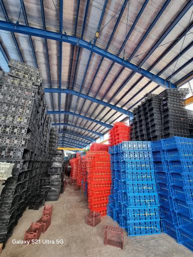 عکس شرکت الیکا دامون 