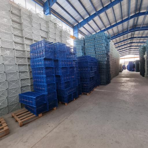 عکس شرکت الیکا دامون 