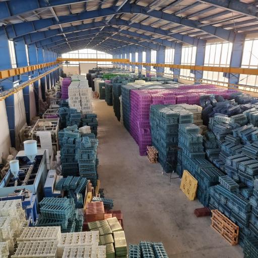 عکس شرکت الیکا دامون 