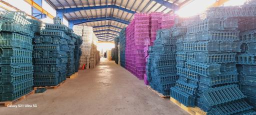 عکس شرکت الیکا دامون 