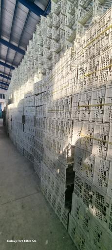 عکس شرکت الیکا دامون 