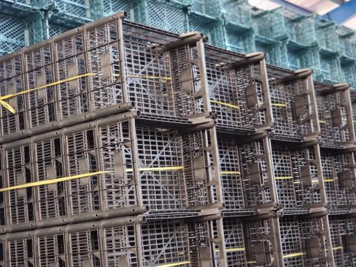 عکس شرکت الیکا دامون 