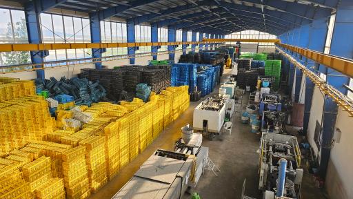 عکس شرکت الیکا دامون 