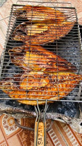 عکس ماهی سرای ساحل