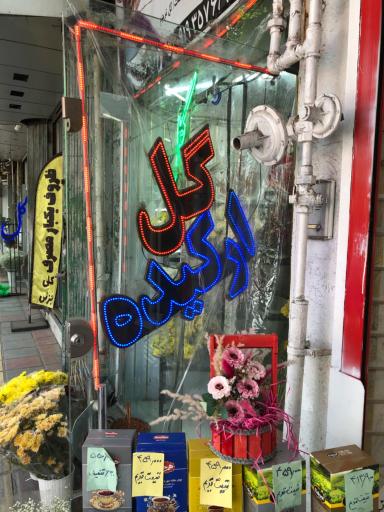 عکس گل ارکیده