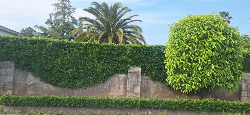 عکس شهرک دهکده ساحلی