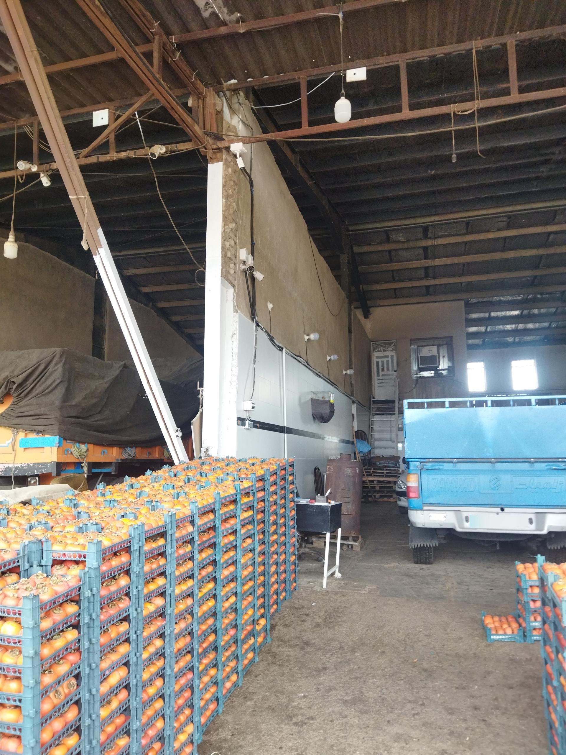 عکس بارفروشی محسن عادلی