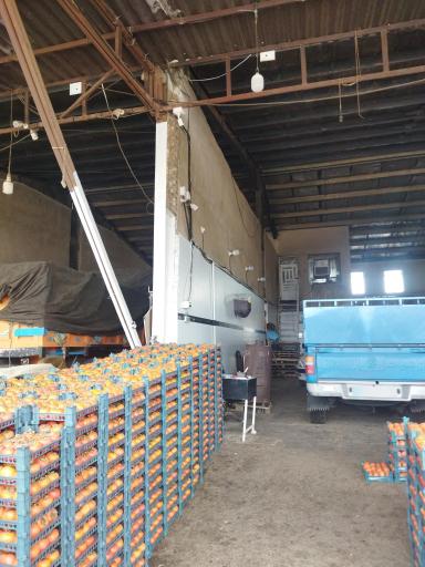 عکس بارفروشی محسن عادلی