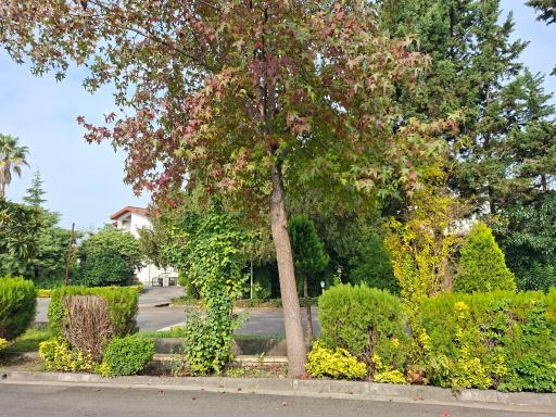 عکس شهرک دهکده ساحلی